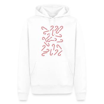 Canne à sucre - Sweat à capuche Premium bio Homme - blanc - Devant - Nico (187cm)