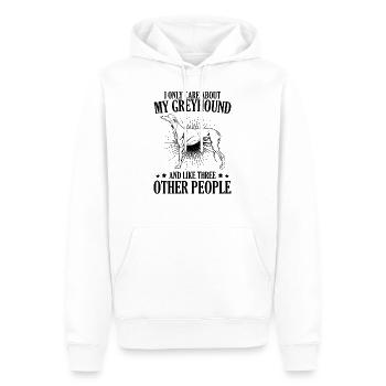 Windhund - Männer Premium Bio Hoodie - Weiß - Vorne - Nico (187cm)