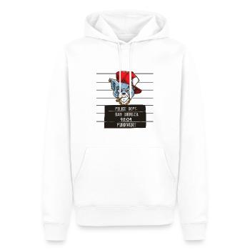 Purrvert #2 – einzigartige Katzengrafik - Männer Premium Bio Hoodie - Weiß - Vorne - Nico (187cm)