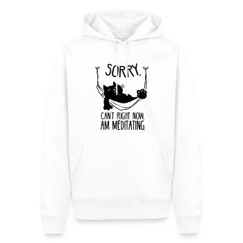 Chat glaçant dans un hamac rétro - Sweat à capuche Premium bio Homme - blanc - Devant - Nico (187cm)