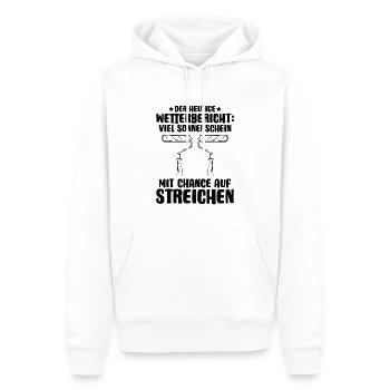 Maler und Lackierer Malerin Lackiererin Painter - Männer Premium Bio Hoodie - Weiß - Vorne - Nico (187cm)