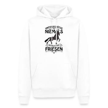 Friese Pferd - Männer Premium Bio Hoodie - Weiß - Vorne - Nico (187cm)