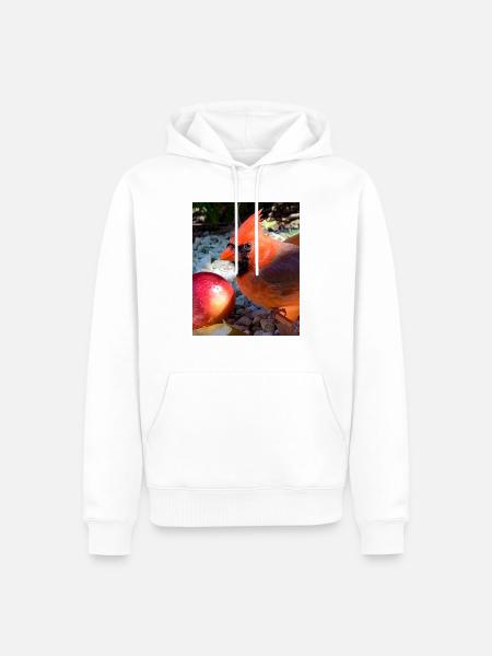Nördlicher Kardinal - Männer Premium Bio Hoodie - Weiß