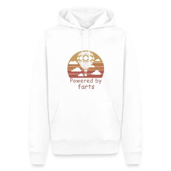 Heißluftballon & Ballon Fahrer Geschenk - Männer Premium Bio Hoodie - Weiß - Vorne - Nico (187cm)
