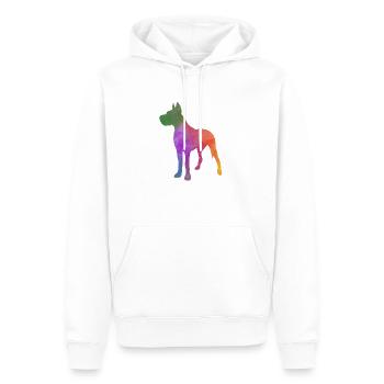 DEUTSCHE DOGGE BUNTER REGENBOGEN - Männer Premium Bio Hoodie - Weiß - Vorne - Nico (187cm)