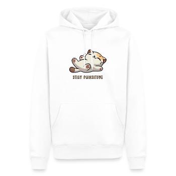 Stay Pawsitive – Süße Katze mit Spruch - Männer Premium Bio Hoodie - Weiß - Vorne - Nico (187cm)