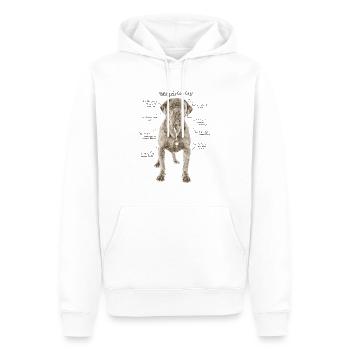 Cane Corso Anatomie - Männer Premium Bio Hoodie - Weiß - Vorne - Nico (187cm)