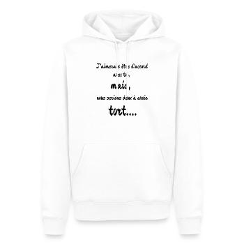 J'ai raison, tu as tort. - Sweat à capuche Premium bio Homme - blanc - Devant - Nico (187cm)