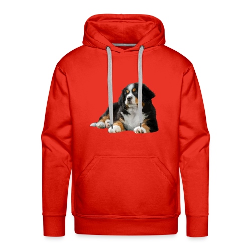 Berner Sennenhund - Männer Premium Hoodie