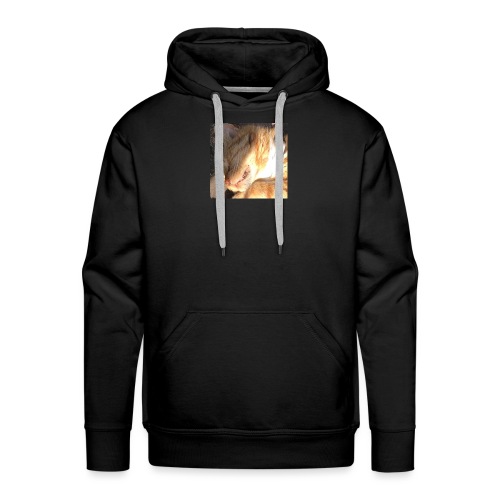 poene - Mannen Premium hoodie