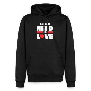 Alles was ich brauch Geschenk Valentinstag Liebe - Männer Premium Bio Hoodie - Schwarz - Vorne - Nico (187cm)