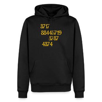 Salutation des Pléiades - get them all - Sweat à capuche Premium bio Homme - noir - Devant - Nico (187cm)