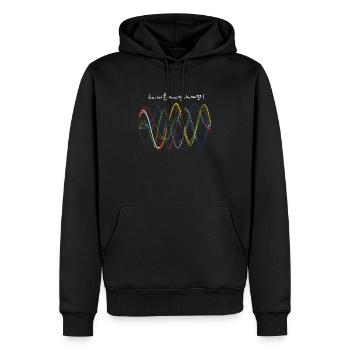 Bunte Wellen in Sinus- und Fourier-Reihen - Männer Premium Bio Hoodie - Schwarz - Vorne - Nico (187cm)