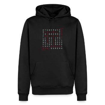 Shisha Rätsel - Männer Premium Bio Hoodie - Schwarz - Vorne - Nico (187cm)