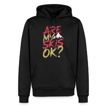 Are My Skis Ok 15 - Männer Premium Bio Hoodie - Schwarz - Vorne - Nico (187cm)
