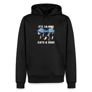 Raining Cats and Dogs - Männer Premium Bio Hoodie - Schwarz - Vorne - Nico (187cm)