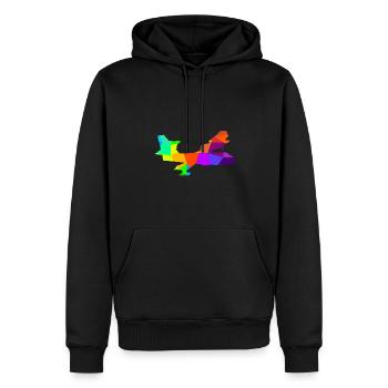 Avion de lutte contre les incendies coloré des avions des pompiers - Sweat à capuche Premium bio Homme - noir - Devant - Nico (187cm)