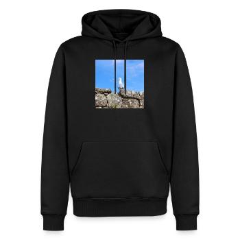 Möwe Norddeutschland - Männer Premium Bio Hoodie - Schwarz - Vorne - Nico (187cm)