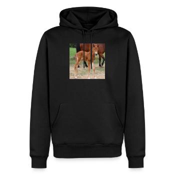 Affiche Cheval Cheval - Sweat à capuche Premium bio Homme - noir - Devant - Nico (187cm)