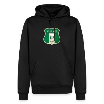 Design du drapeau d'Oshogbo, Nigeria - Sweat à capuche Premium bio Homme - noir - Devant - Nico (187cm)
