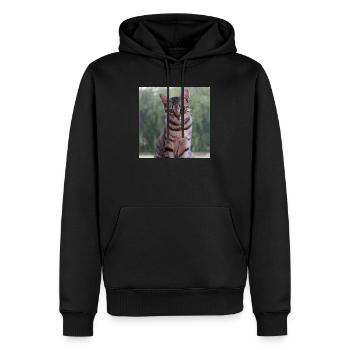 Katze Kätzchen Poster quadratisch Katzenposter - Männer Premium Bio Hoodie - Schwarz - Vorne - Nico (187cm)