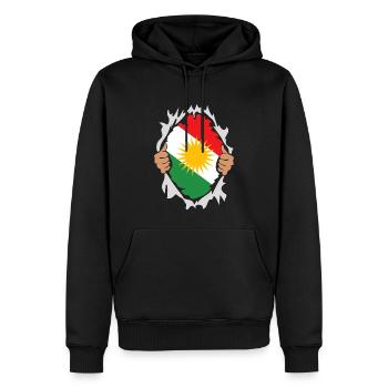 Kurdistan Flagge - Männer Premium Bio Hoodie - Schwarz - Vorne - Nico (187cm)