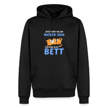 Schlafmütze Faulenzen Schlafen Pyjama Katze - Männer Premium Bio Hoodie - Schwarz - Vorne - Nico (187cm)