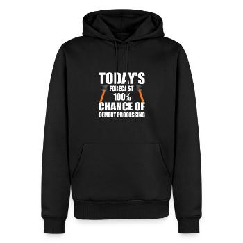 Rétro Wing Foiler - Sweat à capuche Premium bio Homme - noir - Devant - Nico (187cm)