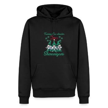 Coordonnatrice de la formation Fête de la Saint-Patrick - Sweat à capuche Premium bio Homme - noir - Devant - Nico (187cm)