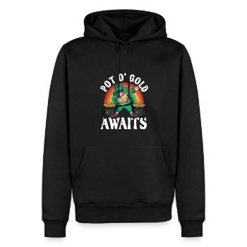 Fête de la Saint-Patrick – Pot O' Gold vous attend - Sweat à capuche Premium bio Homme - noir - Devant - Nico (187cm)