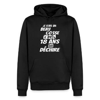 cadeau anniversaire 18 ans / beau gosse de 18 ans - Sweat à capuche Premium bio Homme - noir - Devant - Nico (187cm)