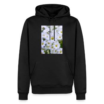snow-in-summer also woolly thistle Hornkraut - Men’s Premium Organic Hoodie - black - Front - Nico (187cm)