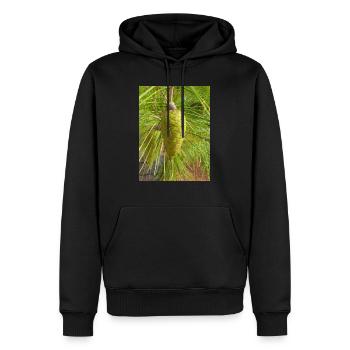 Pin d’Alep aussi Pin de Jérusalem Alep-Kiefer - Sweat à capuche Premium bio Homme - noir - Devant - Nico (187cm)