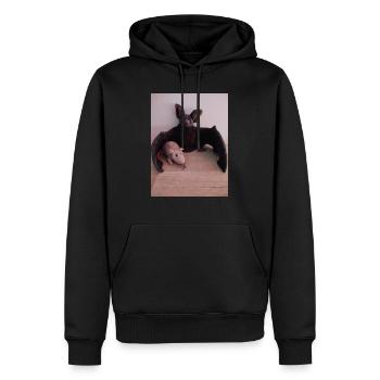 Chauve-souris et souris à aile nocturne - Sweat à capuche Premium bio Homme - noir - Devant - Nico (187cm)