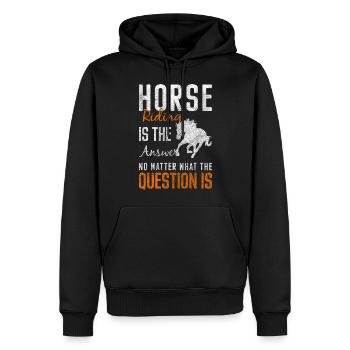 Pferd Freundschaft Mähne Turnierreiten - Männer Premium Bio Hoodie - Schwarz - Vorne - Nico (187cm)