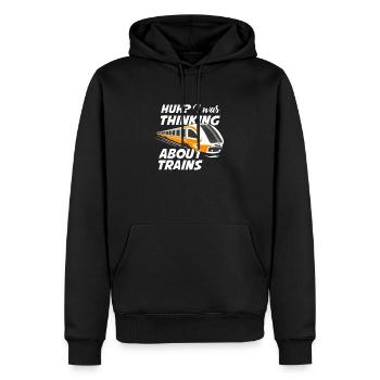 Train trains train modèle - Sweat à capuche Premium bio Homme - noir - Devant - Nico (187cm)