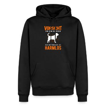 Rottweiler - Männer Premium Bio Hoodie - Schwarz - Vorne - Nico (187cm)