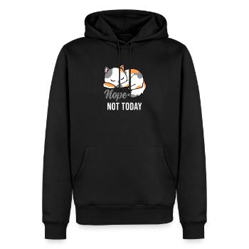 Nope Not Today cat lover - Men’s Premium Organic Hoodie - black - Front - Nico (187cm)