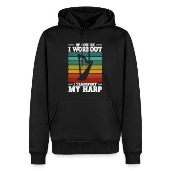 Harfe - Männer Premium Bio Hoodie - Schwarz - Vorne - Nico (187cm)
