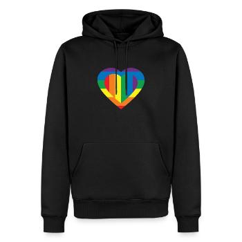 FARBE DER LGBT-FLAGGE - Männer Premium Bio Hoodie - Schwarz - Vorne - Nico (187cm)