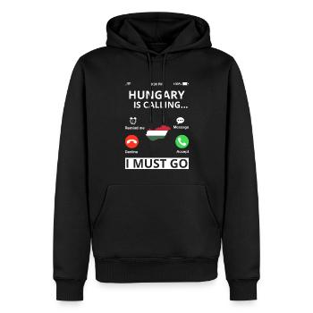 Ungarn Flagge Ungarische Fahne Balaton Hungary - Männer Premium Bio Hoodie - Schwarz - Vorne - Nico (187cm)