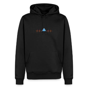 Data Scientist statisticien de la distribution normale - Sweat à capuche Premium bio Homme - noir - Devant - Nico (187cm)