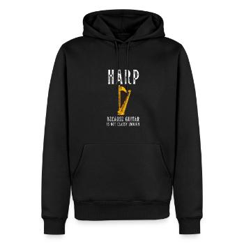 Harp Player Musician Musical Harpist - Männer Premium Bio Hoodie - Schwarz - Vorne - Nico (187cm)