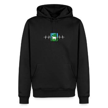 Drapeau géorgien - Sweat à capuche Premium bio Homme - noir - Devant - Nico (187cm)