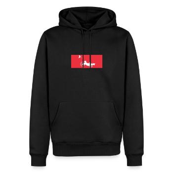 Recumbent Bike And Velomobil - Männer Premium Bio Hoodie - Schwarz - Vorne - Nico (187cm)