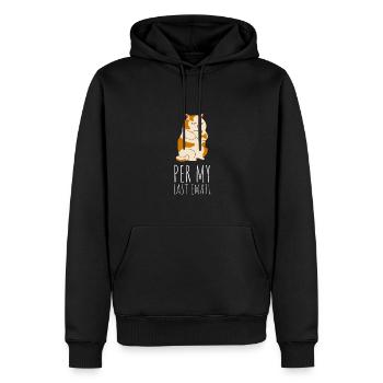 Bureau sarcastique - Par mon dernier e-mail - Sweat à capuche Premium bio Homme - noir - Devant - Nico (187cm)