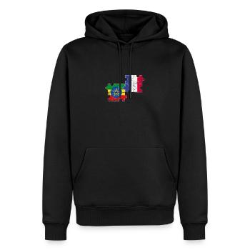 France Ethiopie Vintage Flag Ethiopien - Sweat à capuche Premium bio Homme - noir - Devant - Nico (187cm)