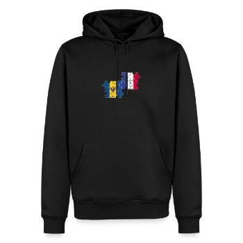 Barbade France Vintage Flag Barbadien - Sweat à capuche Premium bio Homme - noir - Devant - Nico (187cm)