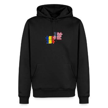 Roumanie, Etats-Unis, Drapeau, Américain, Roumain - Sweat à capuche Premium bio Homme - noir - Devant - Nico (187cm)