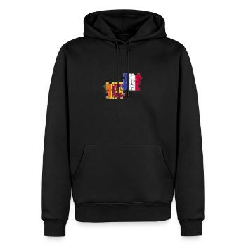 Sri Lanka France Vintage drapeau Sri Lankais - Sweat à capuche Premium bio Homme - noir - Devant - Nico (187cm)